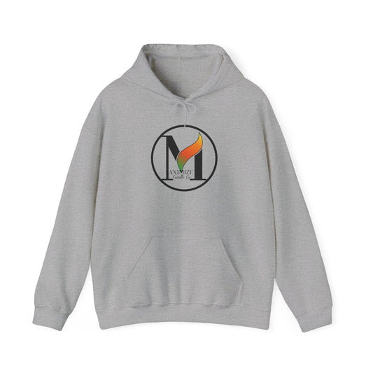 Maximize Hoodie Gray